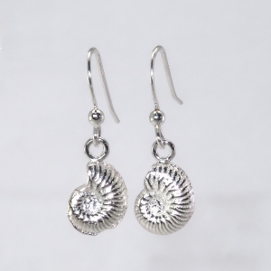 Silver ammonite earrings